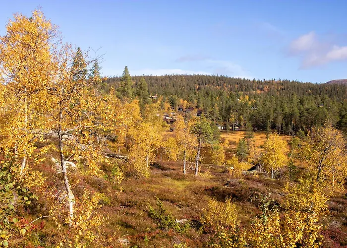 Heimstolen - Cabin At Sorbolfjell
