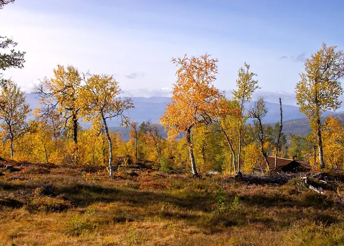 Heimstolen - Cabin At Sorbolfjell
