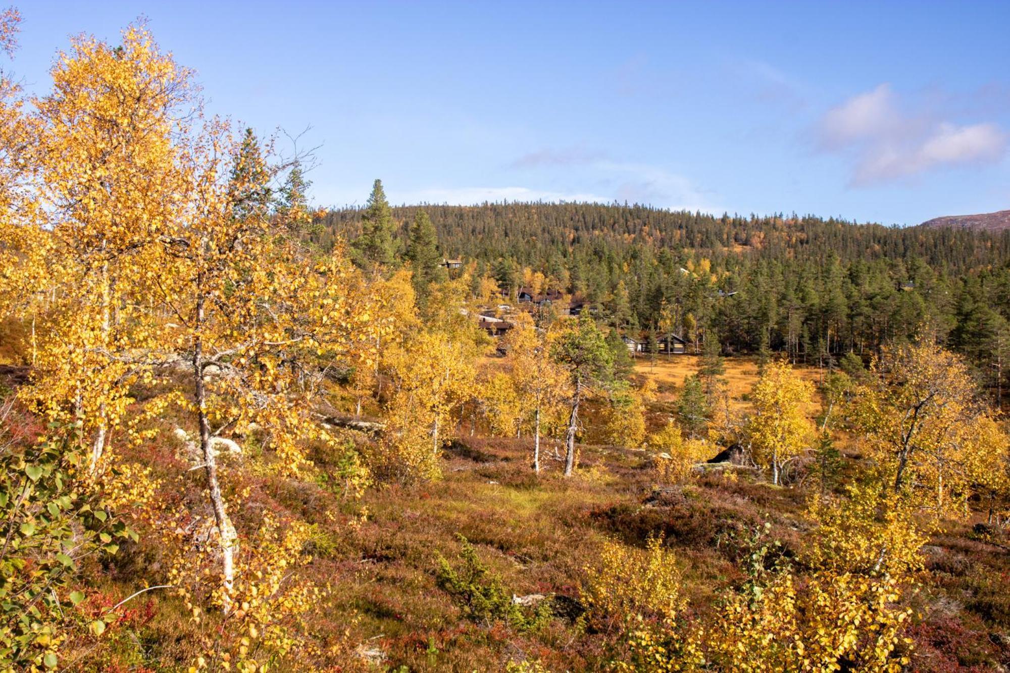 Chalet Heimstolen - At Sorbolfjell *