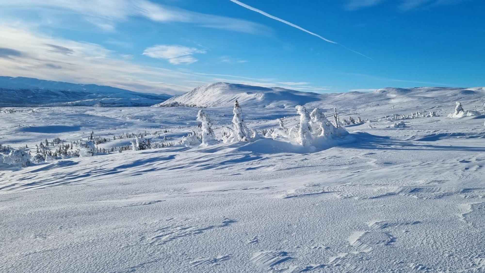 Heimstolen - At Sorbolfjell Chalet *