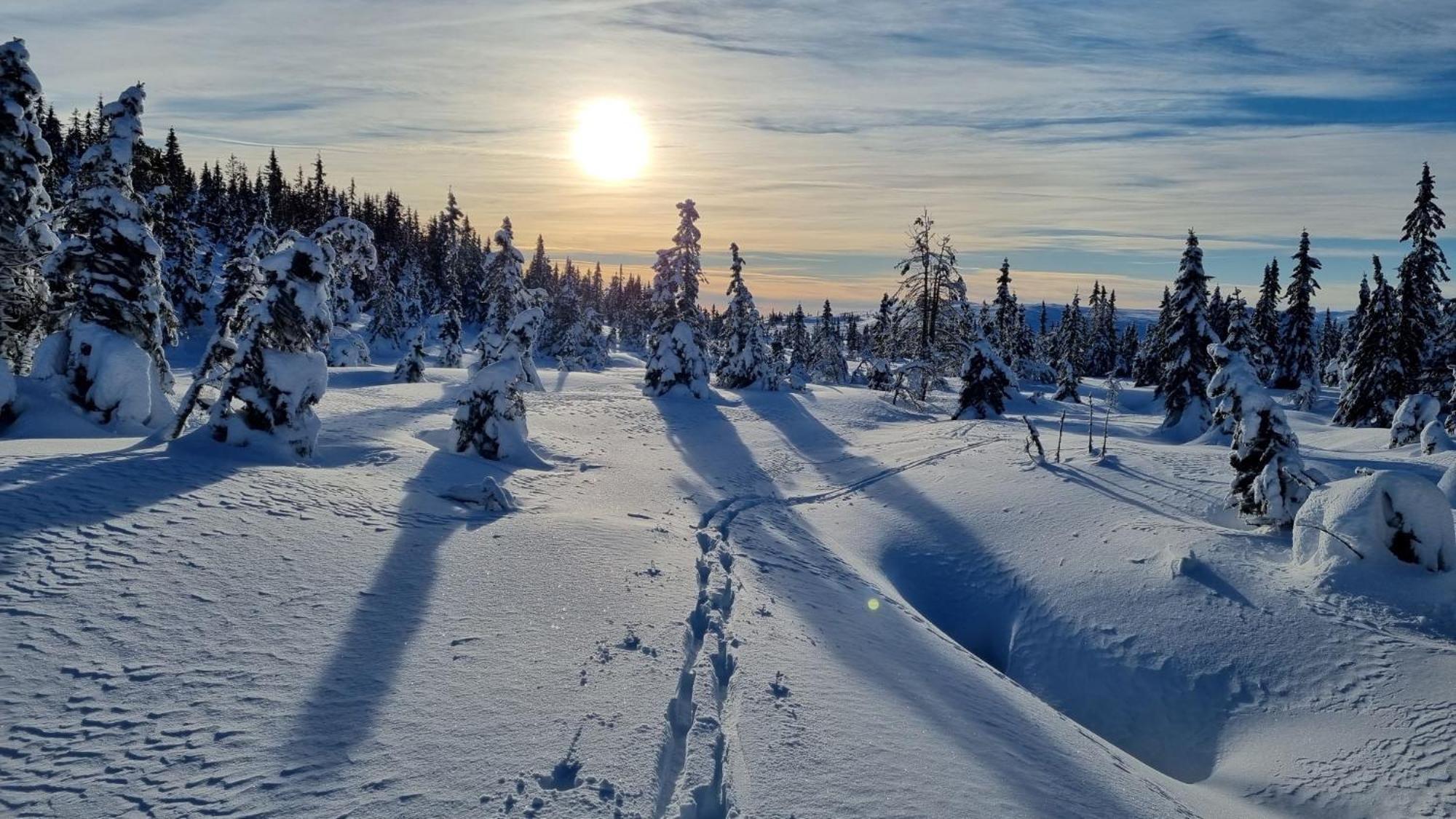 Chalet Heimstolen - At Sorbolfjell Fla